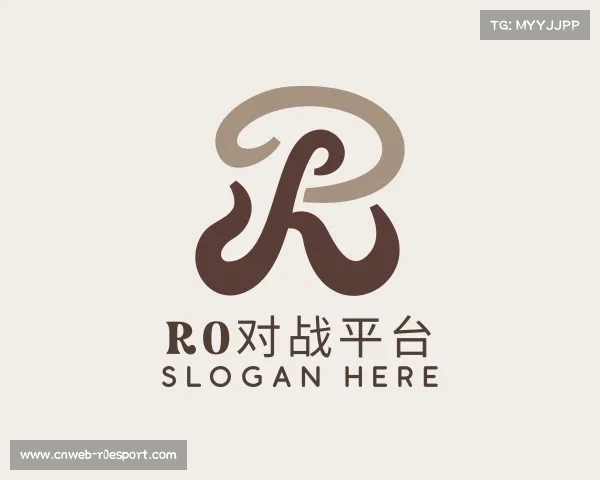 介绍r0对战平台